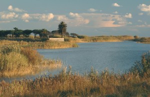 Los Espacios Naturales del Río Llobregat, la imagen ganadora